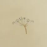 بيت لحاف ميكرو بيج