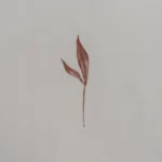 بيت لحاف ميكرو بينك