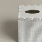 علبه مناديل بولي باللون الأبيض