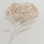 بيت مخدة ميكرو ٢ قطعة بينك