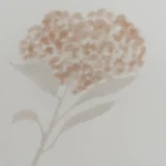 بيت مخدة ميكرو ٢ قطعة بينك