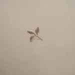 بيت تكاية قطن مطرز ٦٠-٦٠ بيج غامق