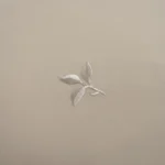 بيت مخدة قطن مطرز ٢ قطعة أوف وايت