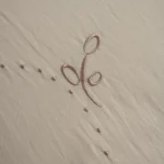 بيت مخدة ميكرو مطرز ٢ قطعة بيج غامق